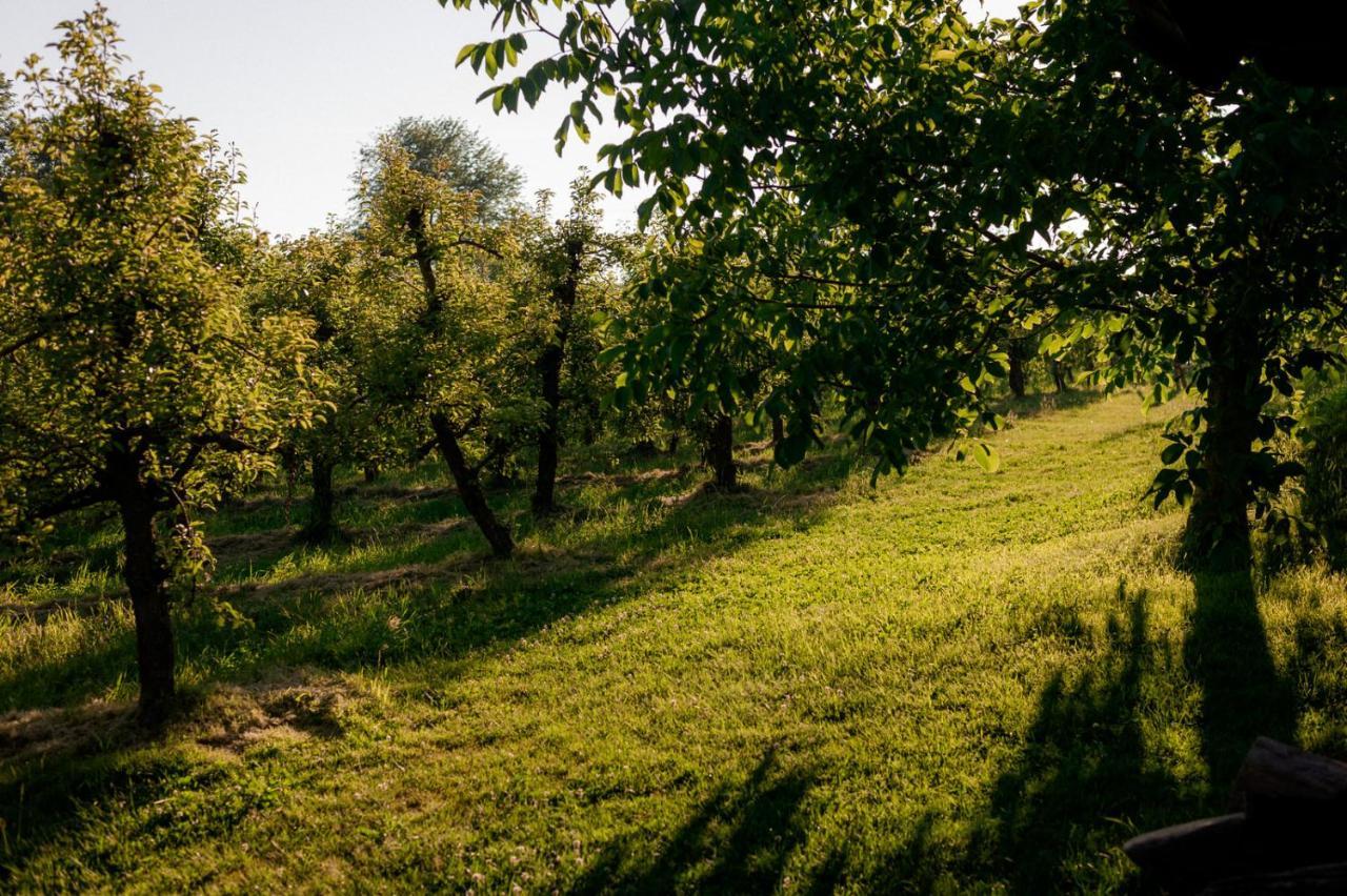 Tourist Farm Firbas Bed & Breakfast Cerkvenjak Eksteriør bilde