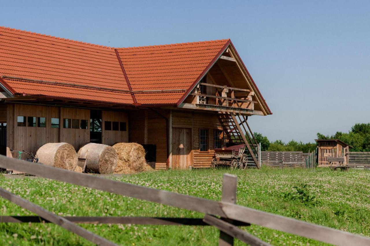 Tourist Farm Firbas Bed & Breakfast Cerkvenjak Eksteriør bilde