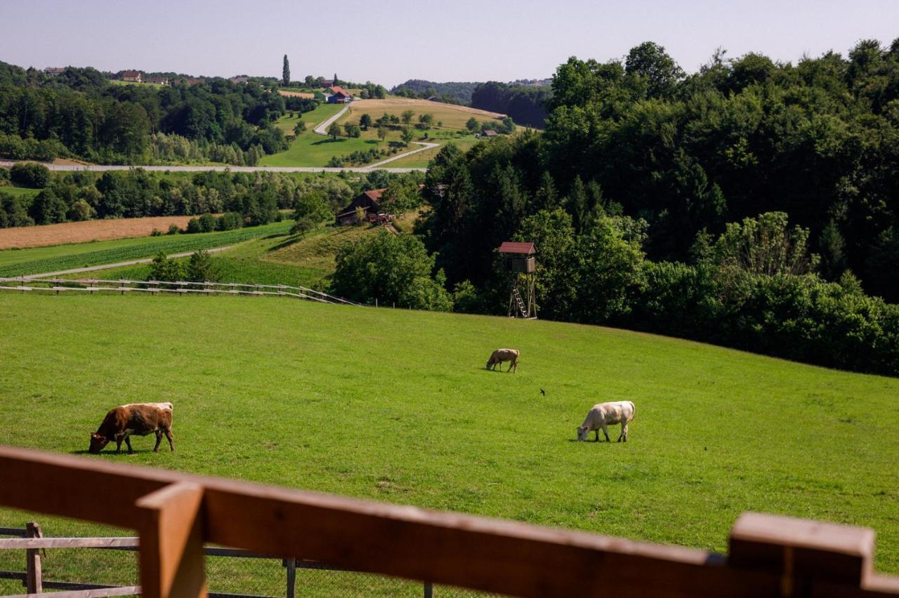 Tourist Farm Firbas Bed & Breakfast Cerkvenjak Eksteriør bilde