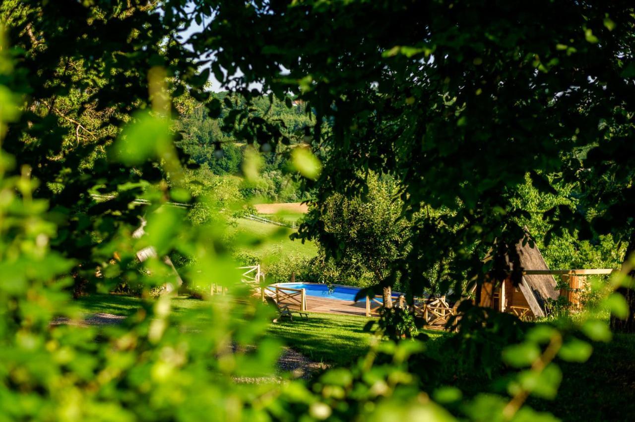 Tourist Farm Firbas Bed & Breakfast Cerkvenjak Eksteriør bilde