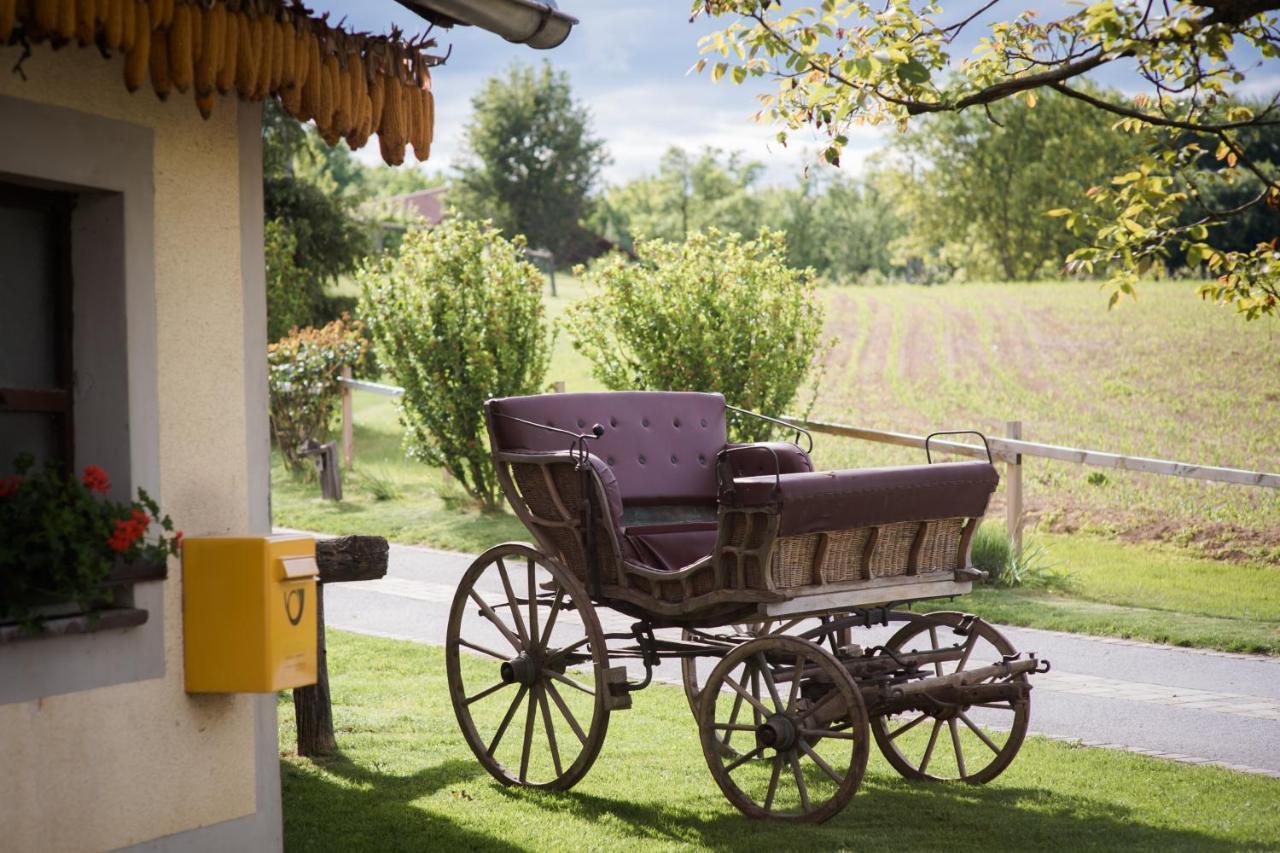Tourist Farm Firbas Bed & Breakfast Cerkvenjak Eksteriør bilde